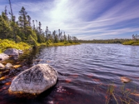 Park Narodowy Gros Morne